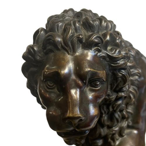 LARGE 19TH CENTURY BRONZE MEDICI LION - ADDITIONAL PHOTO 1