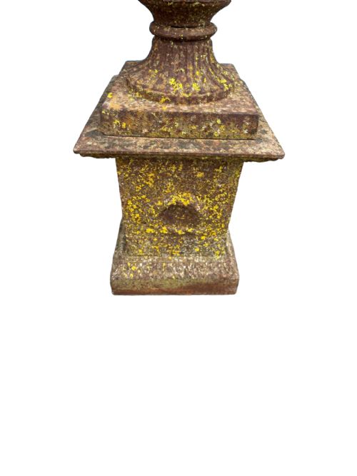 PAIR OF 19TH CENTURY CAST IRON CAMPAGNA URNS ON BASES - ADDITIONAL PHOTO 9