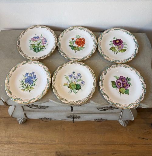 SET OF 12 BOTANICAL PLATES - ADDITIONAL PHOTO 1