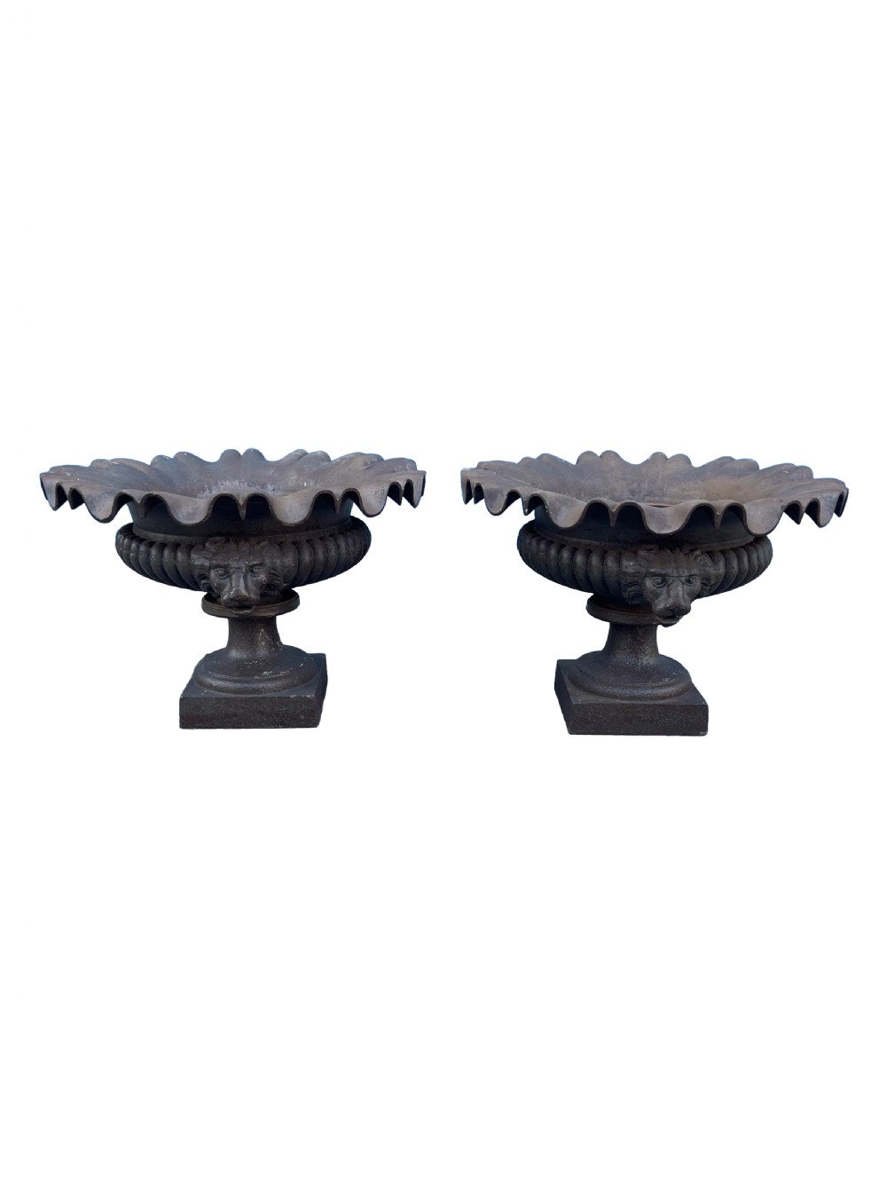 A pair of dark grey cast iron garden urns featuring scalloped rims, gadrooned bodies, lion mask motifs, and square pedestal bases.