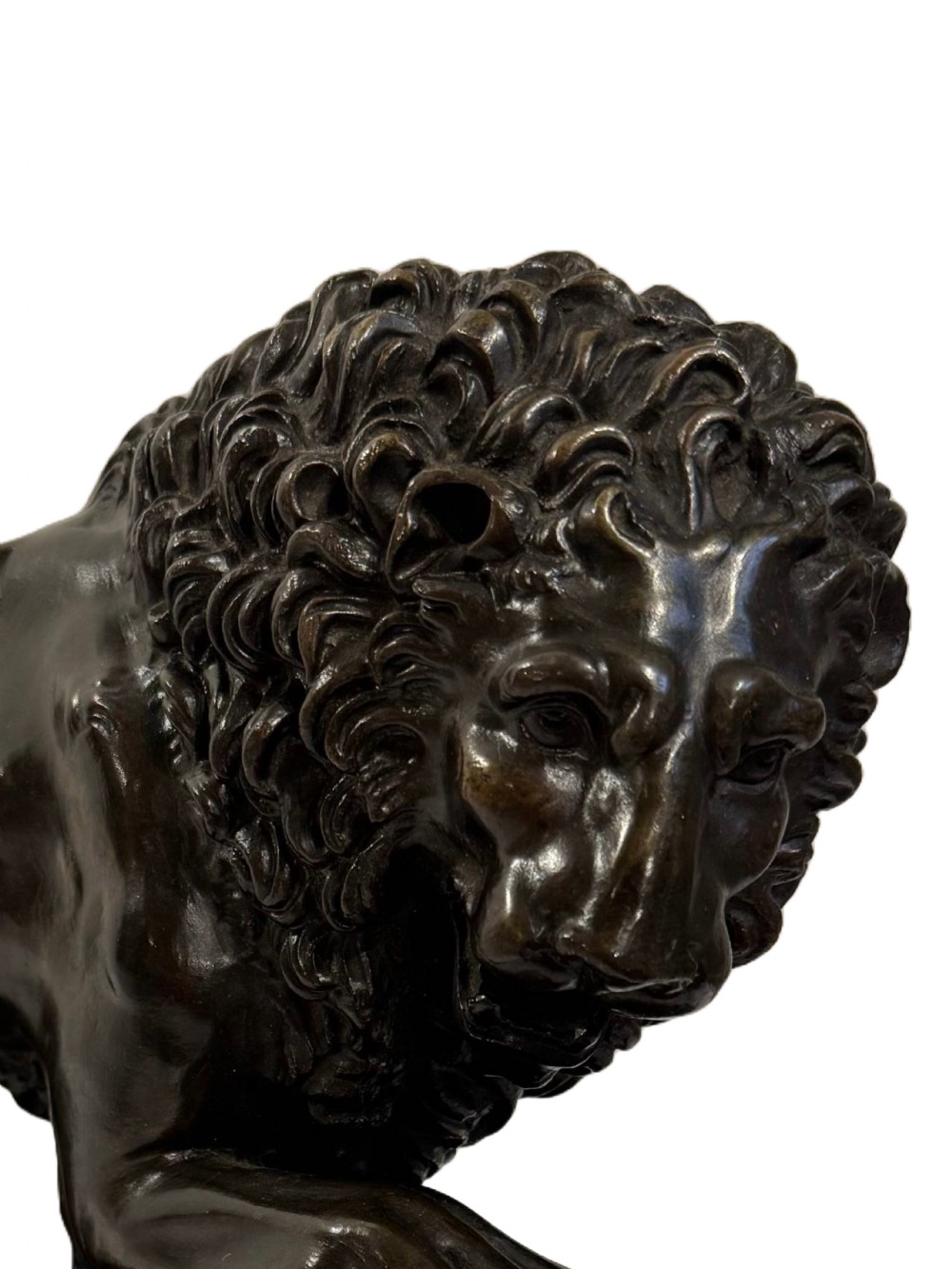 Large bronze Medici Lion View III