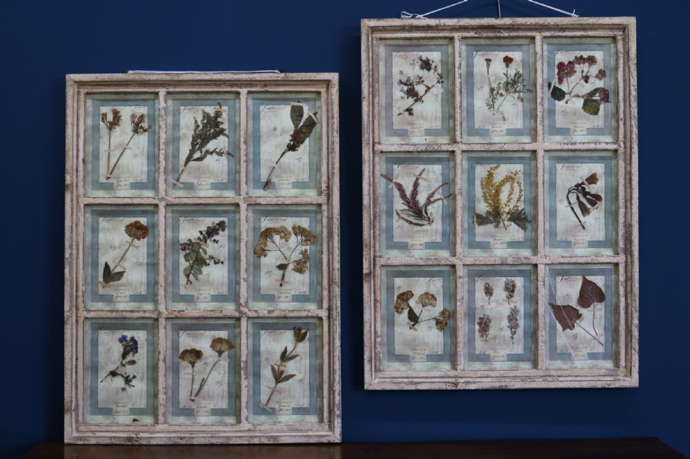 Pair of Italian Framed Flower Pressings
