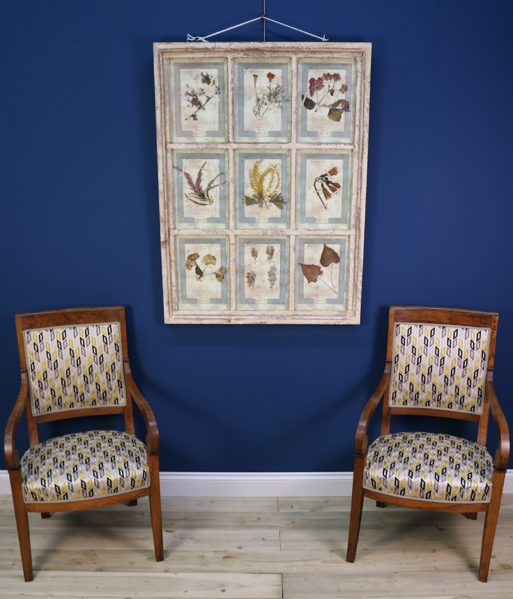 A pair of multi-pane glazed wooden frames containing arranged pressed flower specimens with handwritten labels. View V