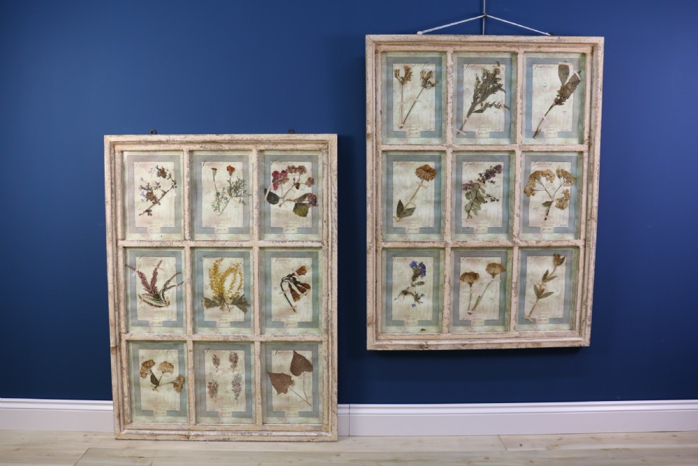 A pair of multi-pane glazed wooden frames containing arranged pressed flower specimens with handwritten labels. View VIII