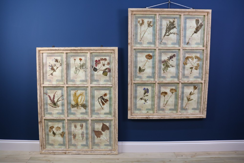 A pair of multi-pane glazed wooden frames containing arranged pressed flower specimens with handwritten labels. View IX