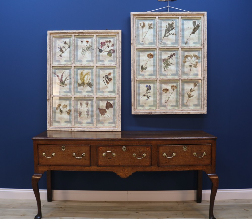 A pair of multi-pane glazed wooden frames containing arranged pressed flower specimens with handwritten labels. View X
