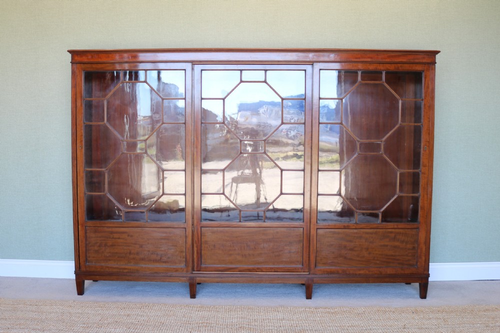 Edwardian Mahogany Bookcase View III