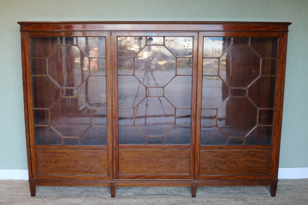 Edwardian Mahogany Bookcase View VI
