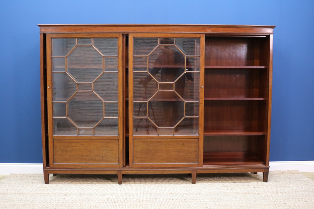 Edwardian Mahogany Bookcase View IX