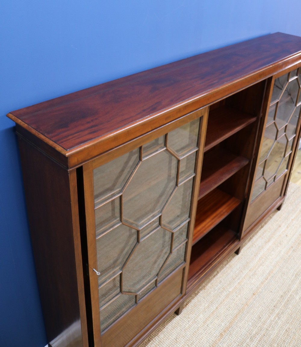 Edwardian Mahogany Bookcase View XII
