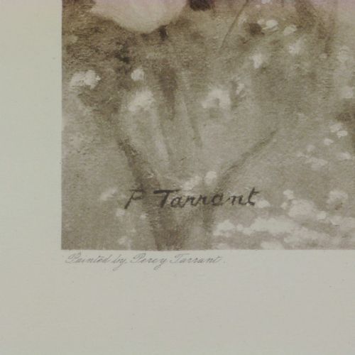 VICTORIAN PRINT FIRST STEPS - ADDITIONAL PHOTO 2