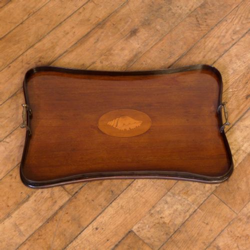 EDWARDIAN MAHOGANY TRAY - ADDITIONAL PHOTO 1
