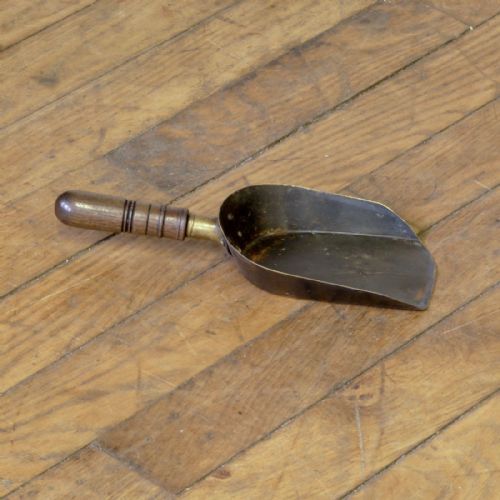 EDWARDIAN ROSEWOOD COAL PURDONIUM - ADDITIONAL PHOTO 5