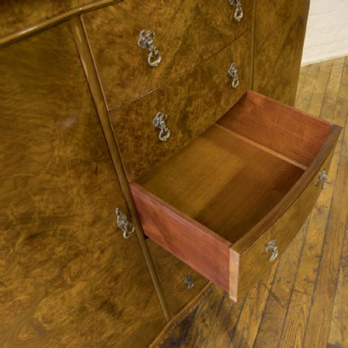 WALNUT COMPACTUM - ADDITIONAL PHOTO 5