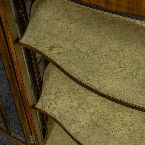 CHIPPENDALE STYLE MAHOGANY CABINET - ADDITIONAL PHOTO 5