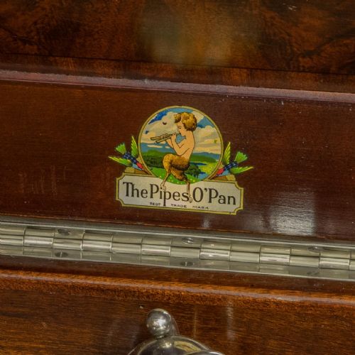 EDWARDIAN GRAMOPHONE - ADDITIONAL PHOTO 3