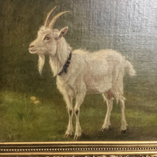 danish goat oil painting - CATEGORY: ANTIQUE ART - DATED 19TH CENTURY