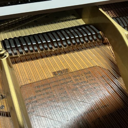 BLUTHNER GRAND PIANO - ADDITIONAL PHOTO 2