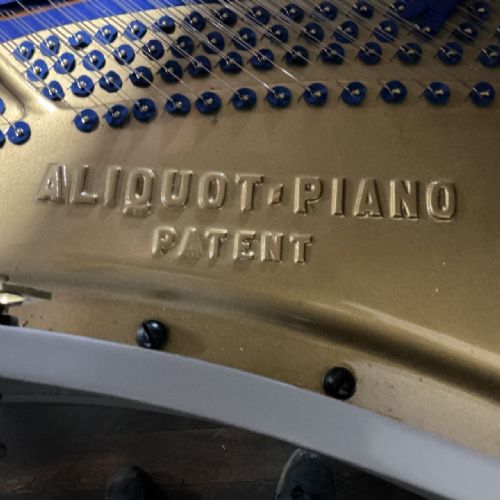 BLUTHNER GRAND PIANO - ADDITIONAL PHOTO 4