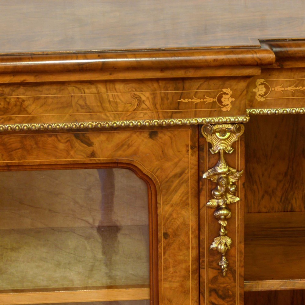 Victorian Burr Walnut Long Bookcase View VIII