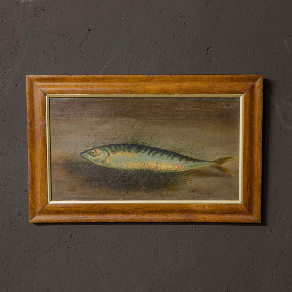 Late Victorian Oil Painting of a Mackerel by S.Colman