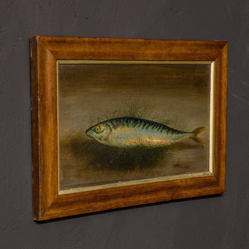 Late Victorian Oil Painting of a Mackerel by S.Colman View II