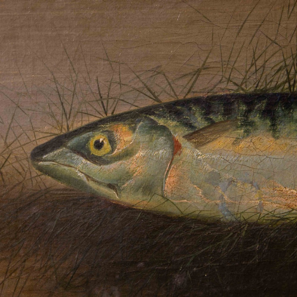 Late Victorian Oil Painting of a Mackerel by S.Colman View III