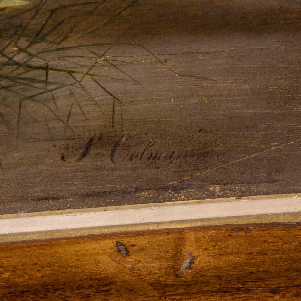 Late Victorian Oil Painting of a Mackerel by S.Colman View IV