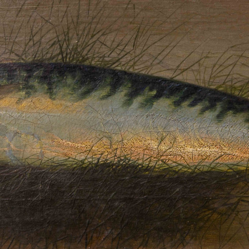 Late Victorian Oil Painting of a Mackerel by S.Colman View V