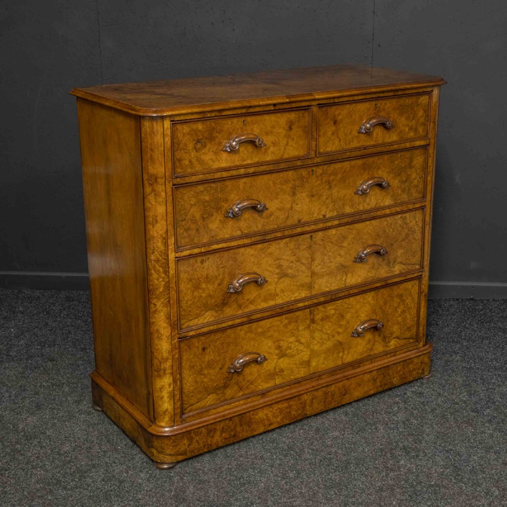 A Victorian burr walnut chest of drawers featuring a two-over-three drawer arrangement with carved handles and rounded corners on a plinth base.