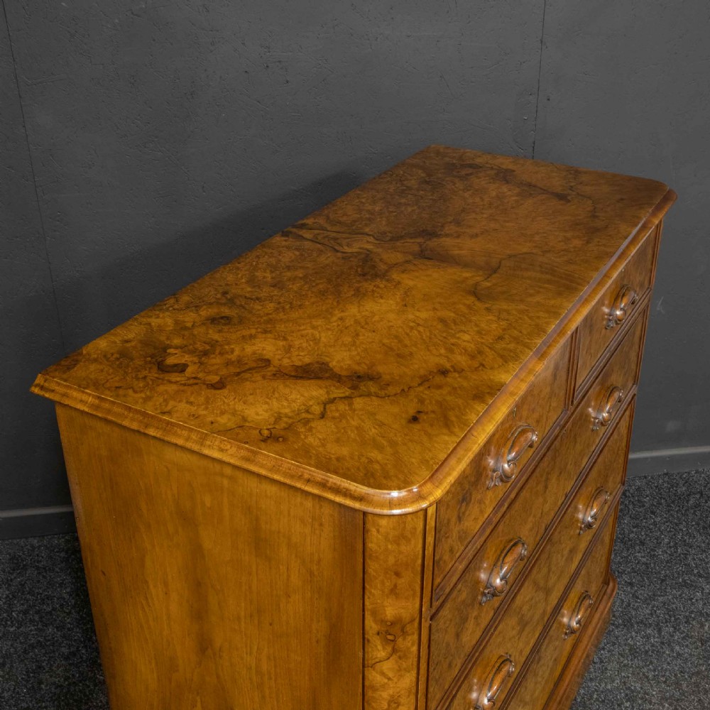 A Victorian burr walnut chest of drawers featuring a two-over-three drawer arrangement with carved handles and rounded corners on a plinth base. View XIII