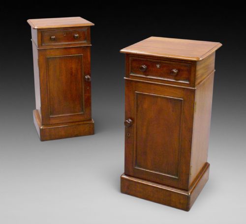 A Pair of 19th Century Mahogany Bedside Cabinets