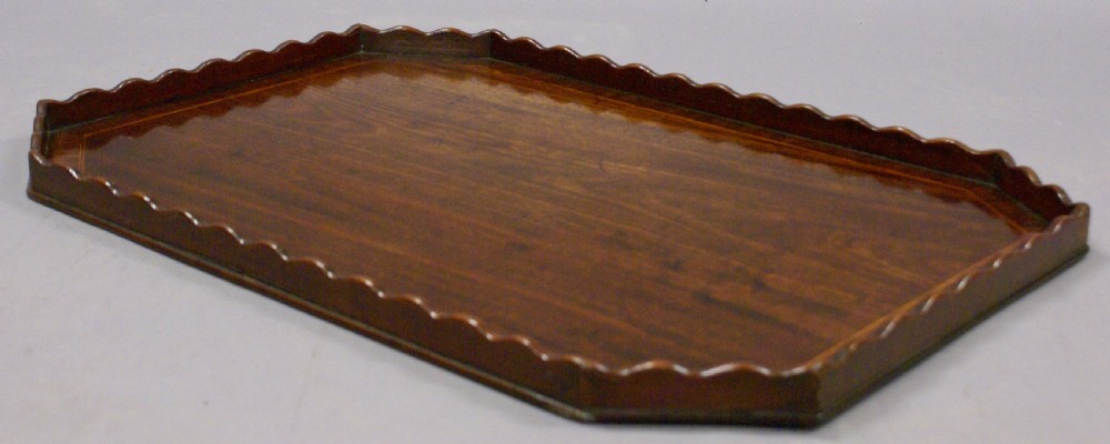 A fine George III mahogany tray View V