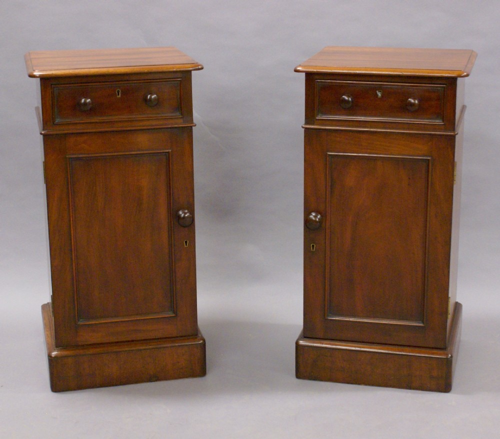 A pair of 19th century mahogany bedside cabinets View II