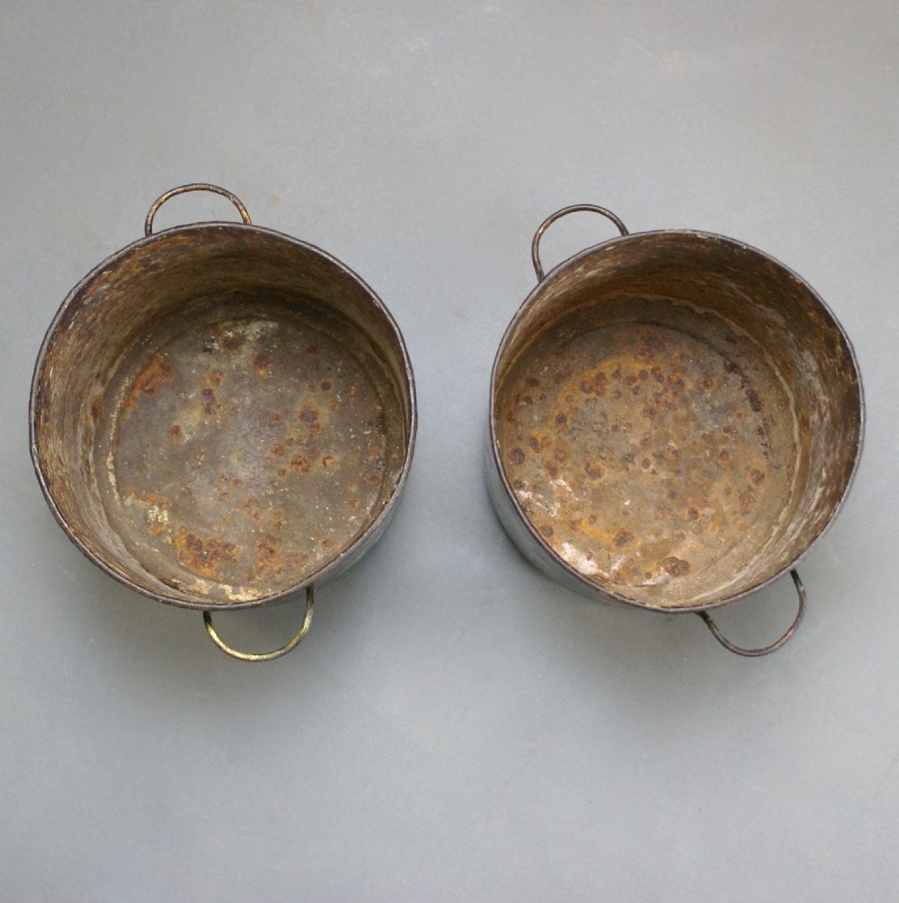 A rare pair of English Regency Tole Ware jardiniere  View V