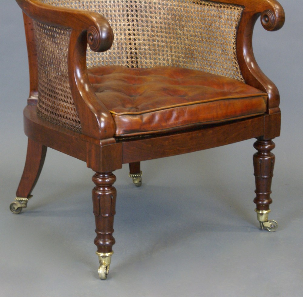 Regency Mahogany Bergere Chair View VI