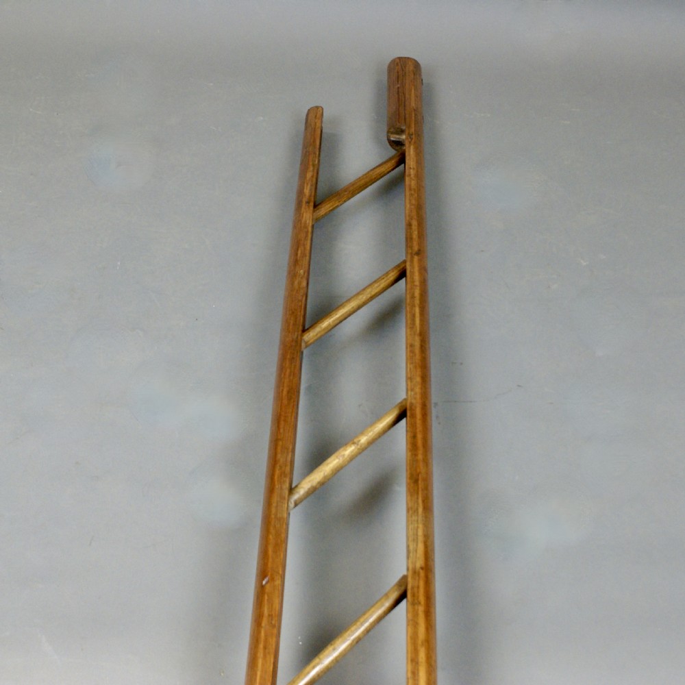 A 19Th Century Library Folding Pole Ladder View II