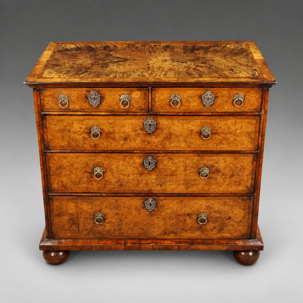 A Queen Anne burr walnut chest of drawers featuring two short over three long graduated drawers with brass drop handles and bun feet. View III