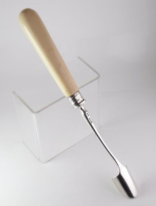 EDWARDIAN SILVER IVORY STILTON SCOOP - ADDITIONAL PHOTO 1