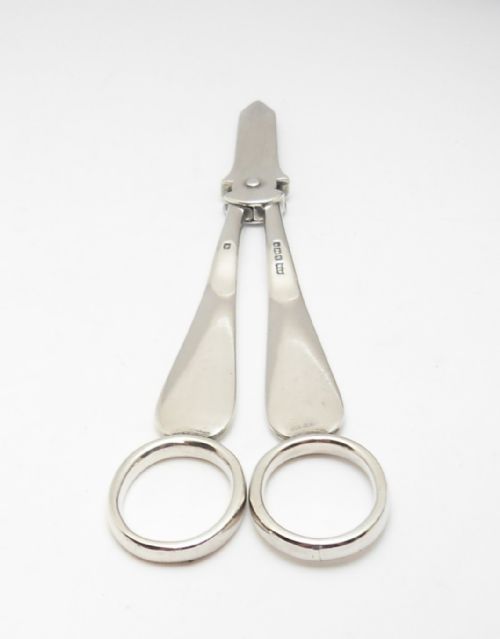 CASED SILVER GRAPE SCISSORS MAPPIN WEBB SHEFFIELD 1933 - ADDITIONAL PHOTO 1