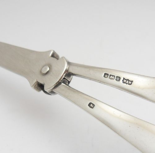 CASED SILVER GRAPE SCISSORS MAPPIN WEBB SHEFFIELD 1933 - ADDITIONAL PHOTO 6