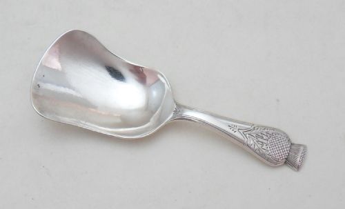 UNUSUAL 'THISTLE HANDLE' SILVER TEA CADDY SPOON BIRMINGHAM 1927 - ADDITIONAL PHOTO 5