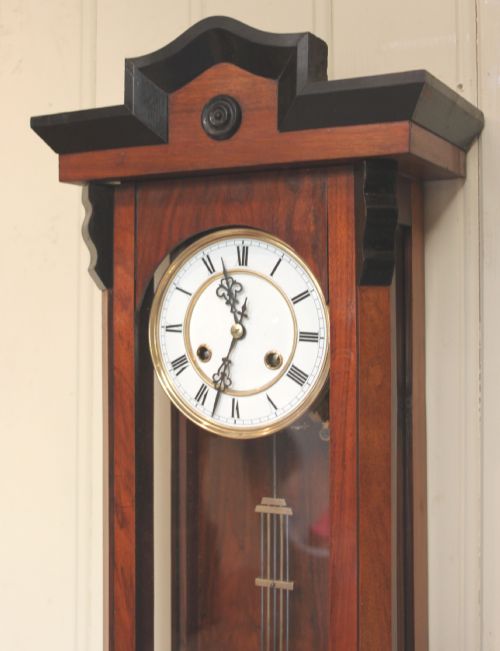 fig 1. Walnut