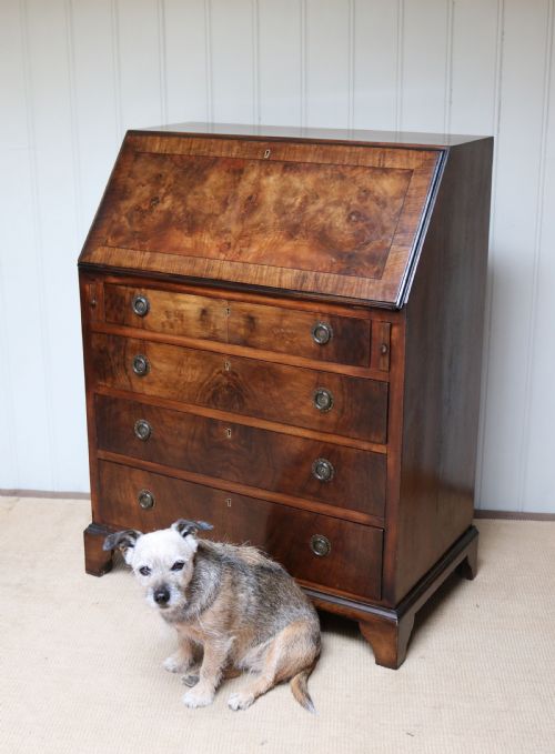 fig 1. Burr Walnut Bureau