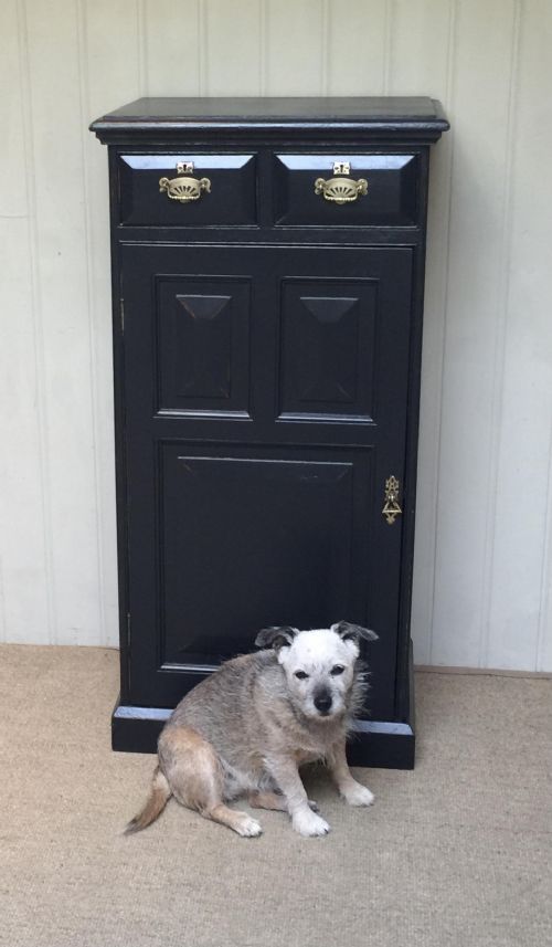 EDWARDIAN PAINTED CUPBOARD - ADDITIONAL PHOTO 9