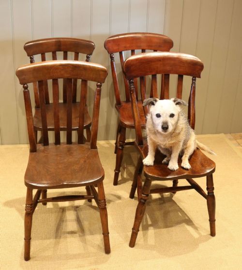 fig 1. Matched Set Of Six Beech & Elm Chairs