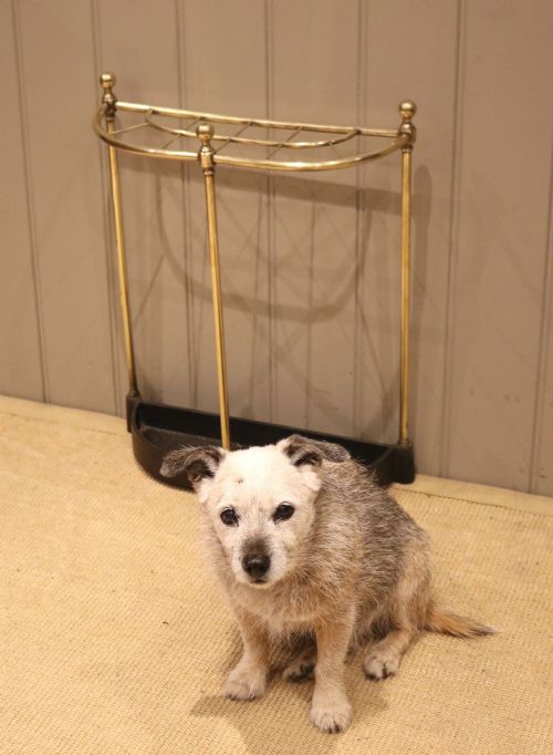 fig 1. Edwardian Bow Front Brass Stick Stand