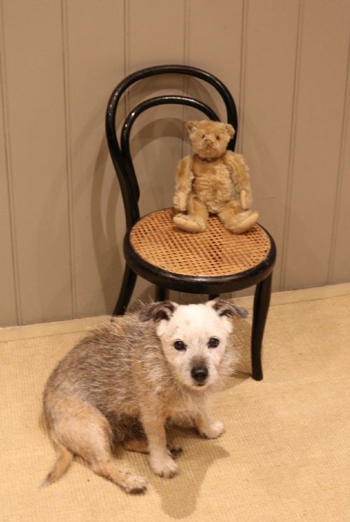 BENTWOOD CHILDS CHAIR WITH A CANE SEAT - ADDITIONAL PHOTO 2