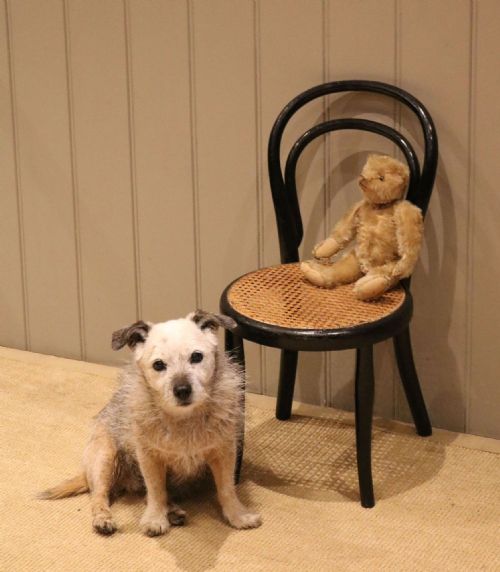 BENTWOOD CHILDS CHAIR WITH A CANE SEAT - ADDITIONAL PHOTO 5