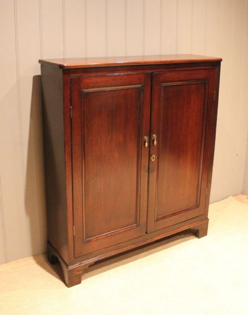 Early 19th Century Narrow Mahogany Cabinet